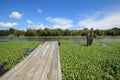 Bayou Lafourche, Louisiana Royalty Free Stock Photo