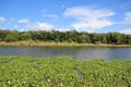 Bayou Lafourche, Louisiana