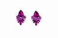 beautiful errings isolated on  background Royalty Free Stock Photo