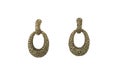 beautiful errings isolated on  background Royalty Free Stock Photo
