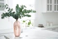 Beautiful eucalyptus branches on white table in kitchen, space for text. Interior element Royalty Free Stock Photo