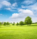 Beautiful european landscape. Spring field with green grass Royalty Free Stock Photo