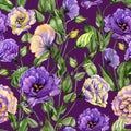 Beautiful eustoma flowers lisianthus with leaves and closed buds on purple background. Seamless floral pattern.