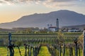 Beautiful evening countryside landscape in Vipava valley, Slovenia Royalty Free Stock Photo