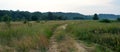 Beautiful evening in the field. The rural road. Royalty Free Stock Photo