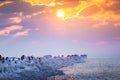 A beautiful evening landscape of a frozen breakwater in the Baltic sea. Winter landscape at the beach.