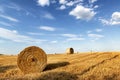 Cut wheat field with hay bales Royalty Free Stock Photo