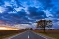 Beautiful evening landscape in the savannah. A lonely spreading tree stands near an empty road. An incredible sunset saturated Royalty Free Stock Photo