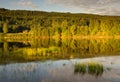 Beautiful evening light on the bank of the river Klaralven Royalty Free Stock Photo