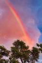 Beautiful evening rainbow arcing over a tree on Maui.