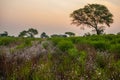 Beautiful evening and sunset photography, country side view of India, Landscape