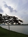 Beautiful everning view at lakeside with tree silhouette. Nature concept Royalty Free Stock Photo