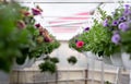 Beautiful exhibition of different flowers in greenhouse and seasonal sale