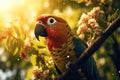 Beautiful exotic Ara parrot bird sitting on branch of tree in green jungle. Cute colorful bird