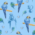 Beautiful exotic bird - macaw parrots sitting on a branch. Original seamless pattern. Watercolor sketch on blue background