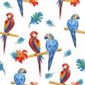 Beautiful exotic bird - macaw parrots sitting on a branch. Original seamless pattern