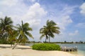 Beautiful exotic Caribbean beach with palm trees at Grand Cayman Royalty Free Stock Photo