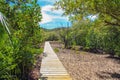 Beautiful exotic resort, a path in the tropics Royalty Free Stock Photo