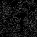 Beautiful exotic Zamioculcas Leaf Silhouette Seamless Pattern Background.