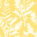 Beautiful exotic Zamioculcas Leaf Silhouette Seamless Pattern Background.