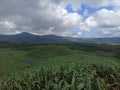 beautiful expanse of corn crops in glenmore