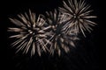Beautiful explosion of fireworks Royalty Free Stock Photo
