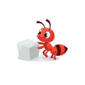 Beautiful expressions on ant face after watching a sugar cube Royalty Free Stock Photo