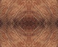 Beautiful extraordinary old wood texture background