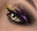 Beautiful eye makeup with colorful sparks. Beauty bright fashion holiday smoky eyes makeup Royalty Free Stock Photo