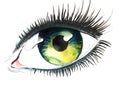 Beautiful eye