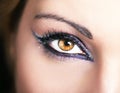 Beautiful Eyes Retro Style Make-up. Royalty Free Stock Photo