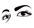 Beautiful eyes vector illustartion