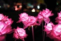 Fabric pink rose flowers with abstract background at night. artificial flowers Royalty Free Stock Photo