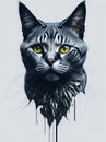 Beautiful fabulous cat on a clean background. Home pet. Petfluencers