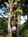 Beautiful faces carved into the shell of coconuts