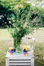 Beautiful fairy dreamy magic burdock thorns, camomile flowers in large glass jar Royalty Free Stock Photo