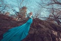 Beautiful fairy in a long turquoise dress Royalty Free Stock Photo