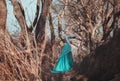 Beautiful fairy in a long turquoise dress Royalty Free Stock Photo