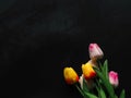 Beautiful fake tulips on black background for copy space. Royalty Free Stock Photo