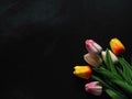 Beautiful fake tulips on black background for copy space. Royalty Free Stock Photo