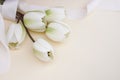 Beautiful fake white tulips with ribbon in pastel background. Concept for Mother`s Day celebration with copy space.