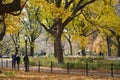 Beautiful fall afternoon in the park during a walk