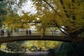 Beautiful fall afternoon in the park during a walk