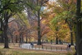 Beautiful fall afternoon in the park during a walk