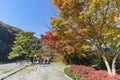 Beautiful fall color in Arashiyama