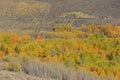 Beautiful fall color in California