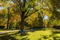 Beautiful fall color in the famous Philbrook Museum of Art