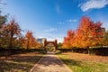 Beautiful fall color of the health sciences campus, University of Oklahoma