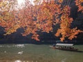 Beautiful fall color and Katsura River with boat