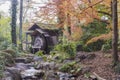 Beautiful fall color, mill wheel of Kyoto Botanical Garden Royalty Free Stock Photo